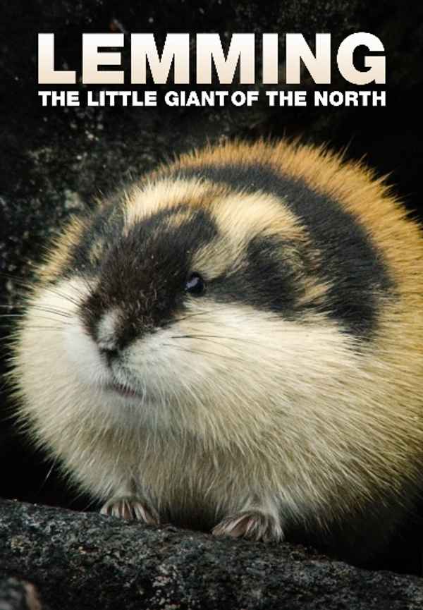 Lemming - The Little Giant of the North Poster 3
