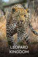 Leopard Kingdom Poster 4