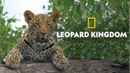 Leopard Kingdom Poster 3