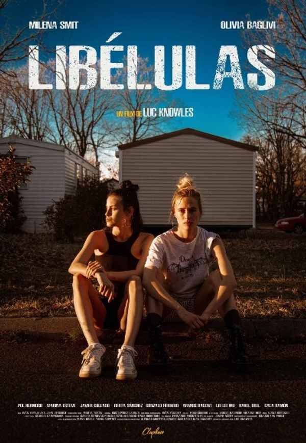 Libélulas Poster 5