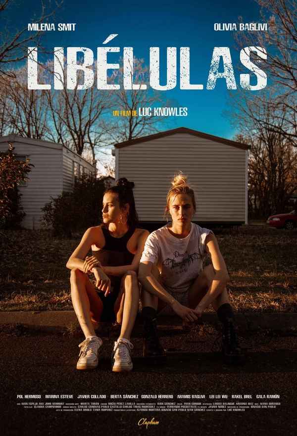 Libélulas Poster 3