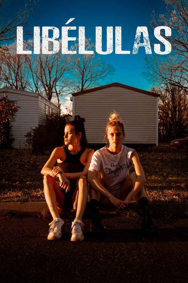 Libélulas Poster 1