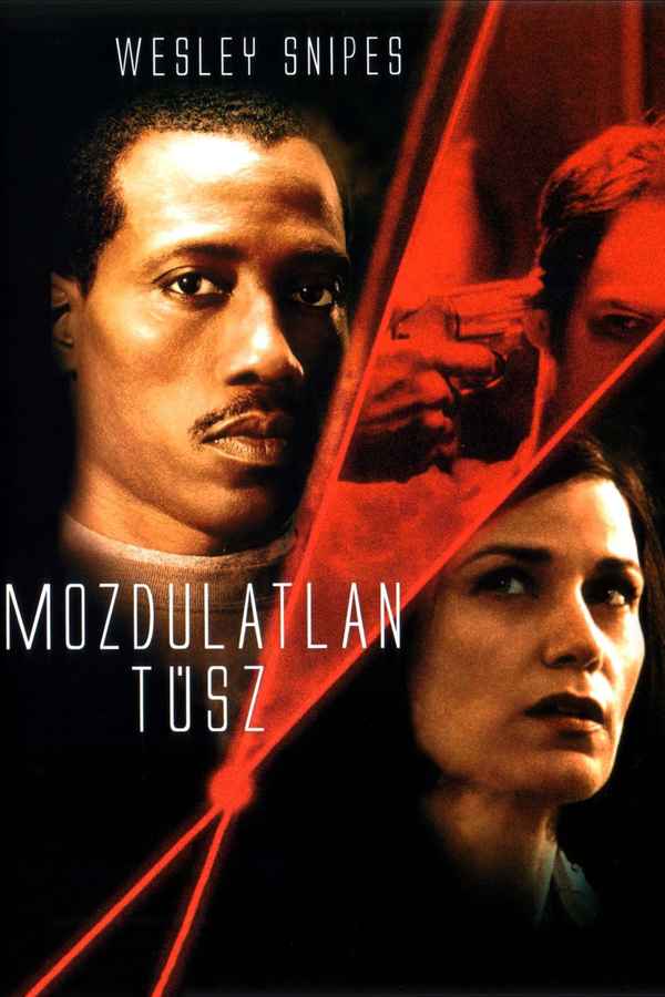 Liberty Stands Still Poster 6