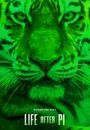 Life After Pi Poster 4