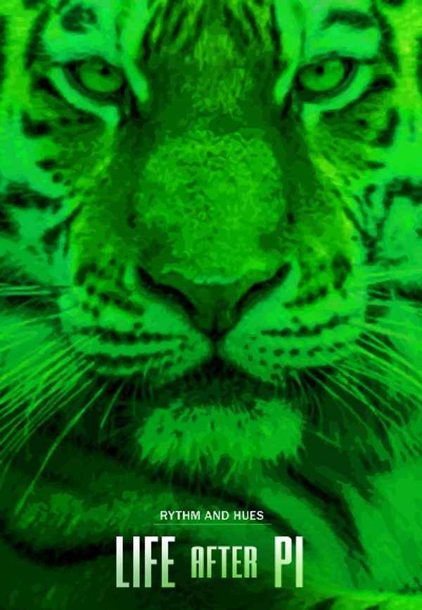 Life After Pi Poster 4