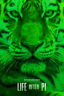 Life After Pi Poster 1