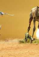 Life: First Steps Poster 4