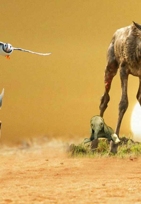 Life: First Steps Poster 4