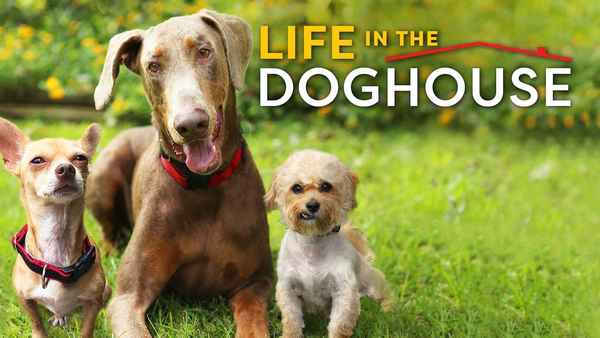 Life in the Doghouse Poster 4