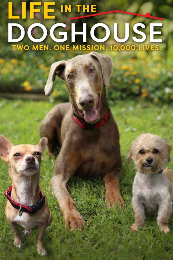Life in the Doghouse Poster 1