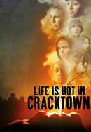 Life Is Hot in Cracktown Poster 4