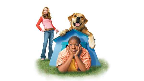 Life Is Ruff Poster 6