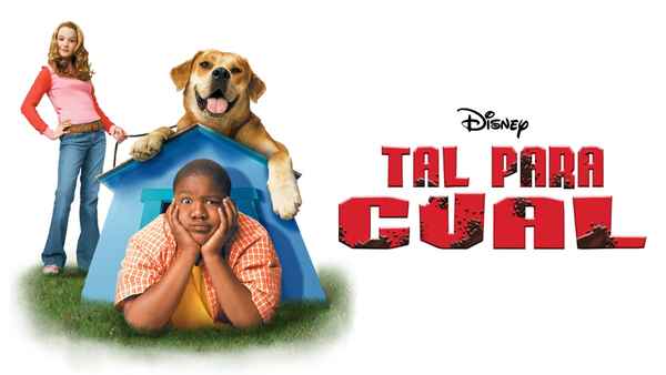 Life Is Ruff Poster 7