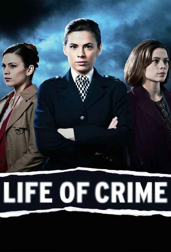 Life of Crime Poster 2