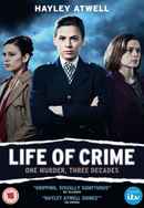 Life of Crime Poster 4