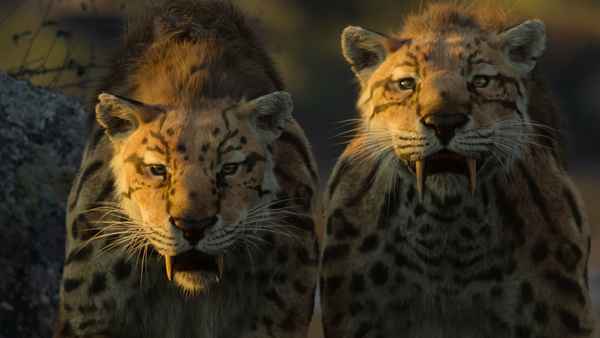 Life on Our Planet Poster 1