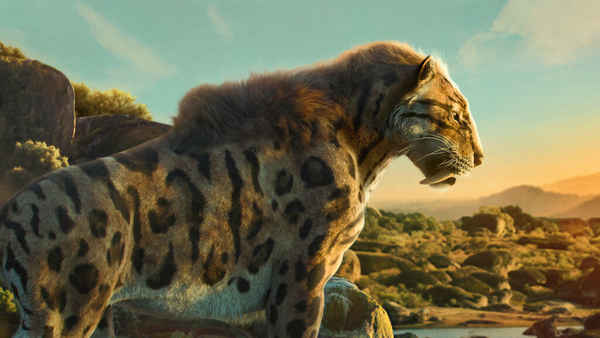 Life on Our Planet Poster 7