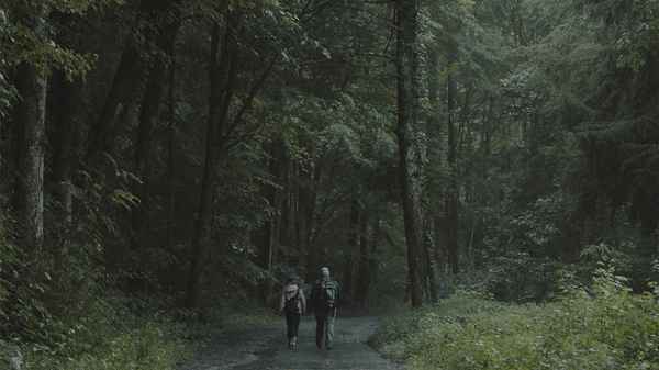 Light from Light Poster 2