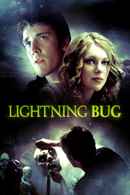 Lightning Bug Poster 2