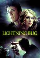 Lightning Bug Poster 4