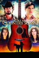 Like a Country Song Poster 1