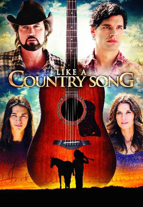 Like a Country Song Poster 6