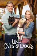 Like Cats & Dogs Poster 7