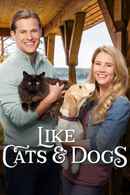 Like Cats & Dogs Poster 3