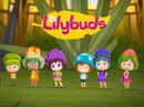 Lilybuds Poster 6