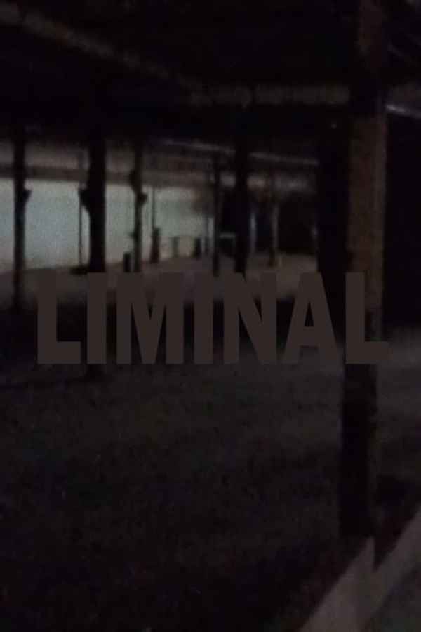 liminal Poster 1