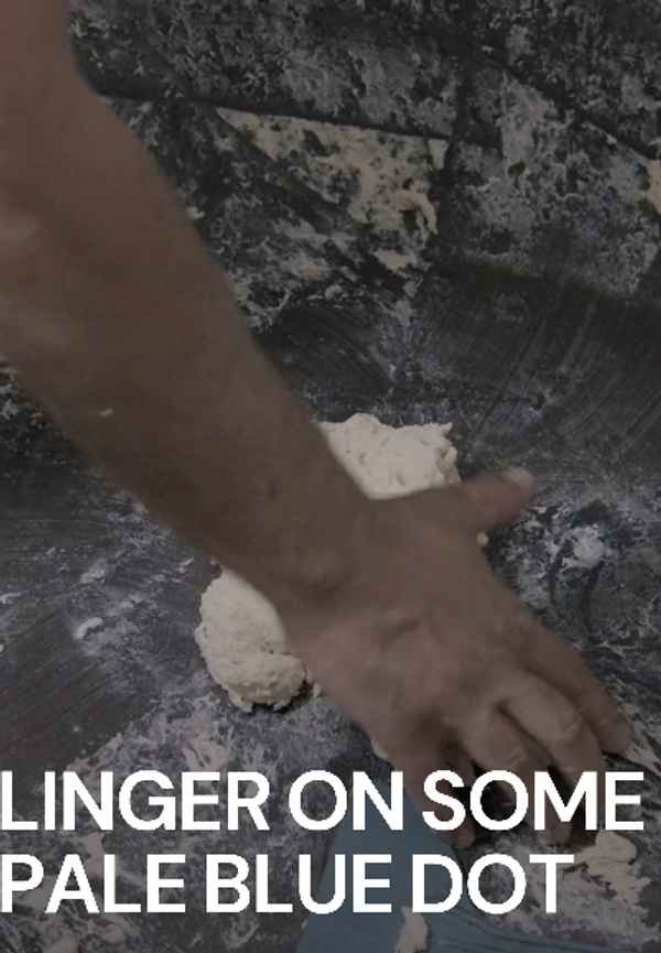 Linger on Some Pale Blue Dot Poster 3