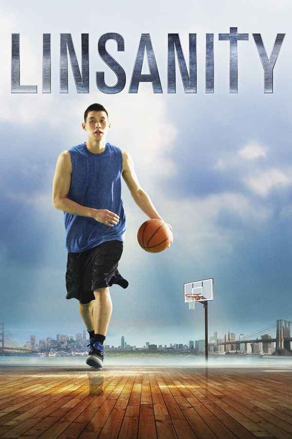 Linsanity Poster 4
