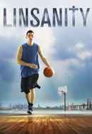 Linsanity Poster 6