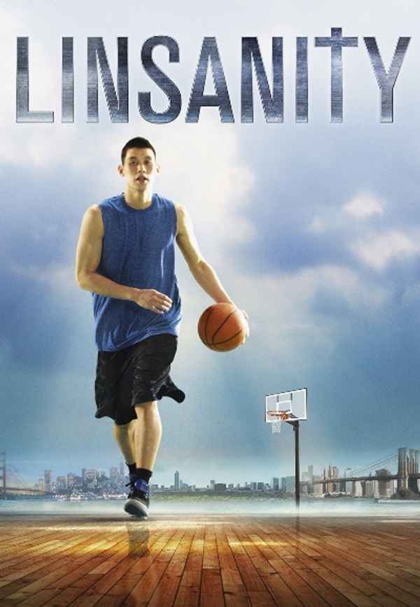 Linsanity Poster 6