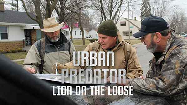 Lion On The Loose Poster 1