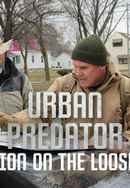 Lion On The Loose Poster 3