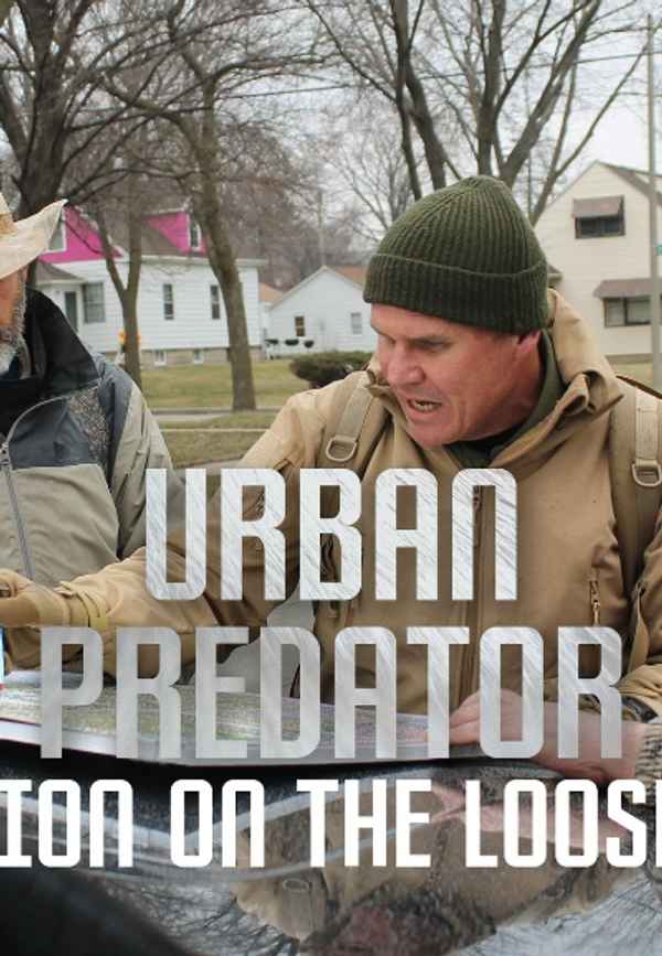 Lion On The Loose Poster 3