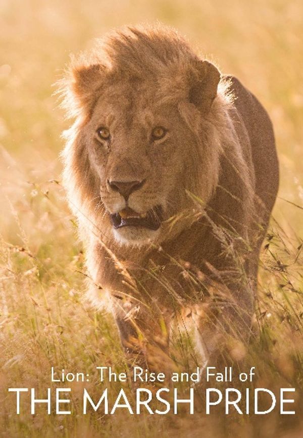 Lion: The Rise and Fall of the Marsh Pride Poster 3