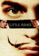 Little Ashes Poster 4
