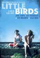 Little Birds Poster 4