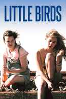 Little Birds Poster 3