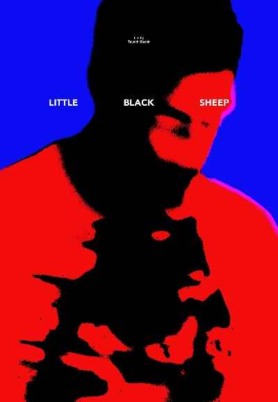 Little Black Sheep