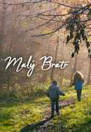 Little Brother Poster 6