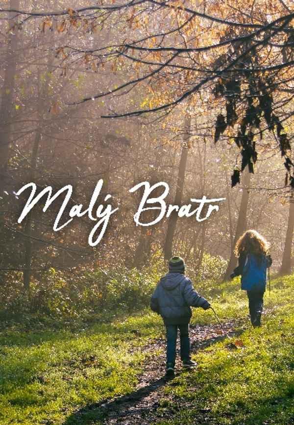 Little Brother Poster 6