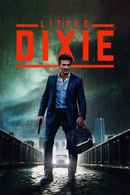 Little Dixie Poster 5