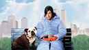 Little Nicky Poster 2