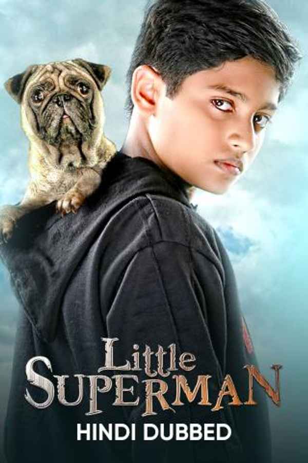 Little Superman Poster 6