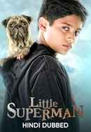 Little Superman Poster 4