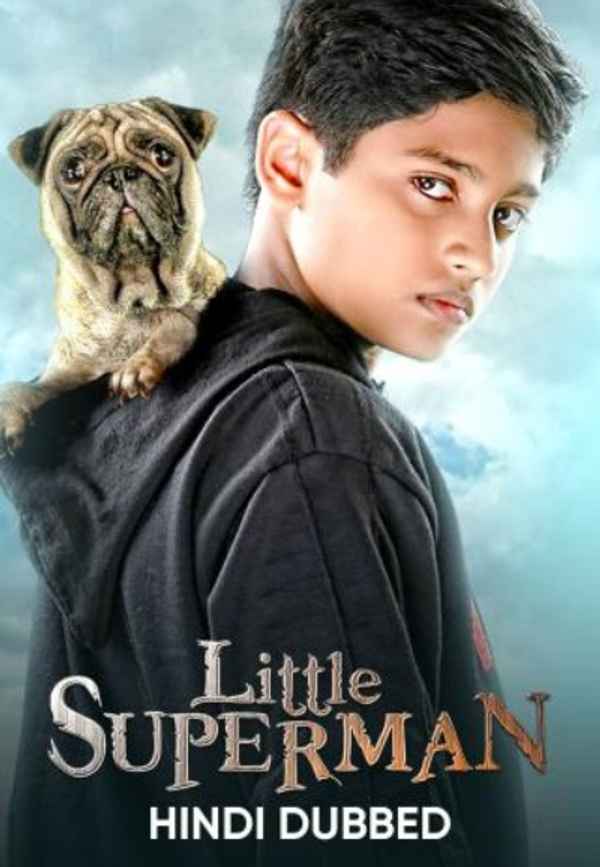 Little Superman Poster 4
