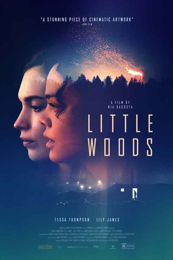 Little Woods Poster 4